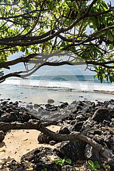 The coast of Keoniloa Bay, Kauai, Hawaii