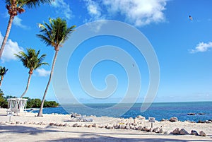 Coast of The Keys, Islamorada, Florida photo