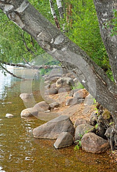 Coast of lake