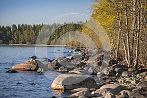 The coast of Lake Ladoga in the early morning