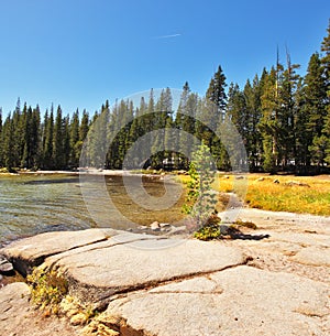 The coast of lake on pass Tioga