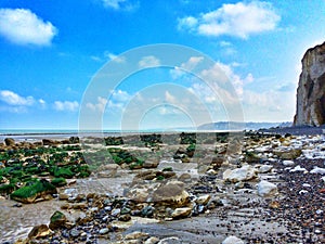 The Coast at low tide