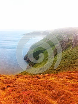 The coast of Lundy Island