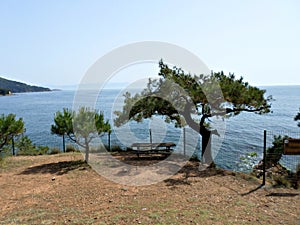 Coast of Marmara sea