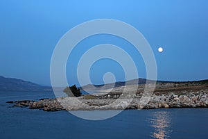 Coast in moonlight with white rocks at night