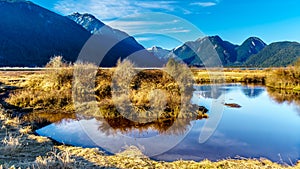 The Coast Mountains surrounding the Pitt River and Pitt Lake in the Fraser Valley of British Columbia Canada