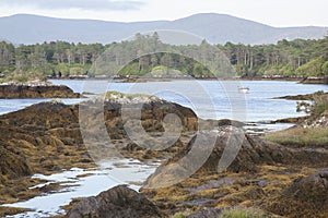 Coast near Ardgroom Beach; Beara Peninsula; Cork