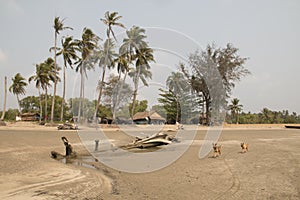 Coast near Ngwe Saung, Myanmar photo