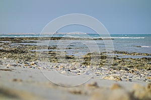 Coast in the north of  Qatar