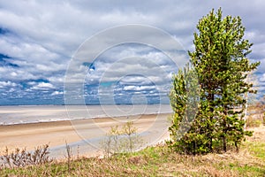 The coast of the Novosibirsk Ob reservoir. Western Siberia