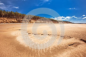 The coast of the Novosibirsk Ob reservoir. Western Siberia