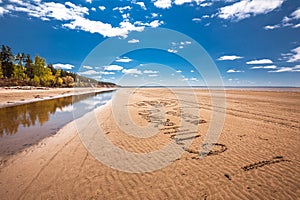 The coast of the Novosibirsk Ob reservoir. Western Siberia