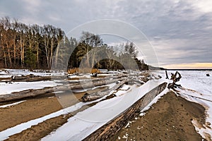 The coast of the Ob reservoir in early winter. Western Siberia