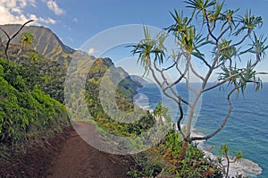 Coast off of Kauai of Hawaii