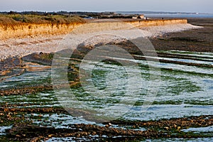 Coast of Oleron Island