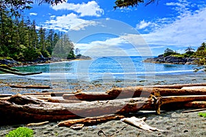 Coast of Pacific Rim National Park, Vancouver Island, BC, Canada photo