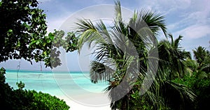 Coast with palm trees, white sand and turquoise ocean.