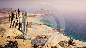 Coast of Pan de Azucar National Park in Chile. Atacama desert coast photo