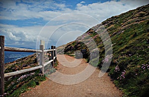 Coast path