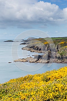 Coast Path St Non`s Pembrokeshire UK