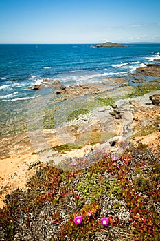 Coast portugal