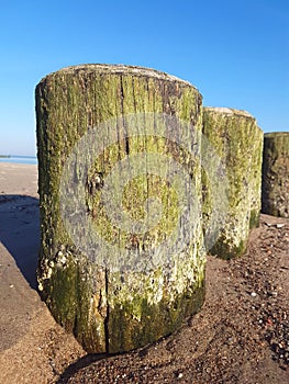 Coast protection at the baltic sea