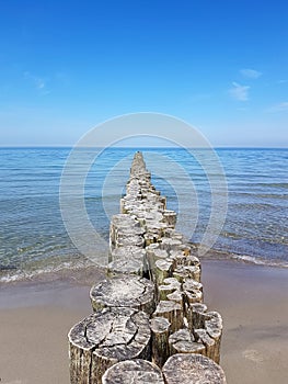 Coast protection at the baltic sea photo