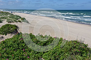 The coast at Regeleje in Denmark