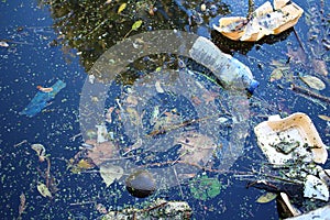 Coast of river polluted with plastic