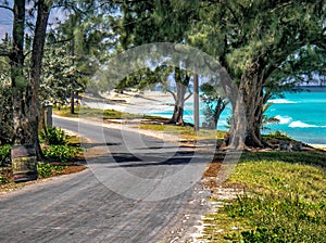 Coast road, Bimini Island