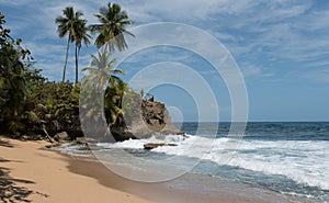 Coast with rock at Punta Manzanillo in Gandoca Manzanillo National Wildlife Refuge, Costa Rica