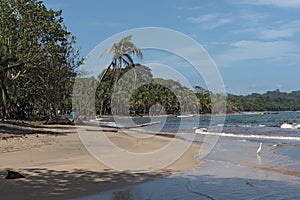 Coast with rock at Punta Manzanillo in Gandoca Manzanillo National Wildlife Refuge, Costa Rica