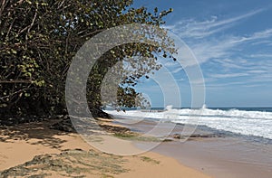 Coast with rock at Punta Manzanillo in Gandoca Manzanillo National Wildlife Refuge, Costa Rica