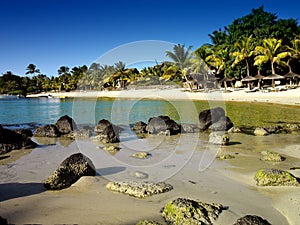 The coast of a sandy beach in tropics