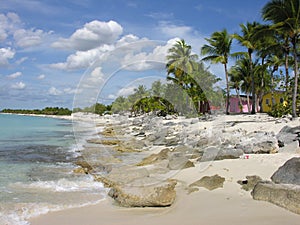 Coast of Santo Domingo