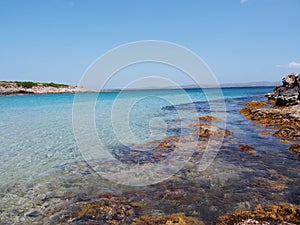 Coast of sardinia, italy photo