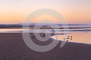 Coast of Sidi Kaouki, Morocco, Africa. Sunset time. morocco`s wonderfully surf town