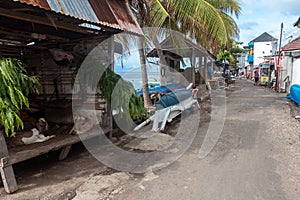 The coast of singaraja