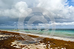 Coast before storm, dark clouds in the sky, sandy beach filled with washed algae from the ocean, moored boats, Mexico