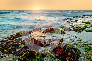 Coast at sunset with rocks and waves