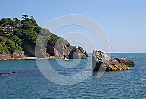 Coast of Torbay