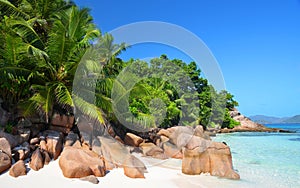 Coast of the tropical island La Digue at Anse Severe beach, Indian ocean, Seychelles.