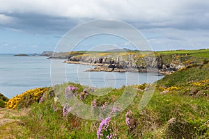 Coast Wales