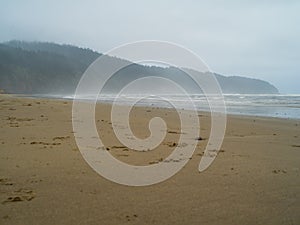 Coast of Washington State or Oregon with cliffs and the Pacific Ocean. Nature