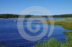 Coast of the White sea in Solovki, Russia