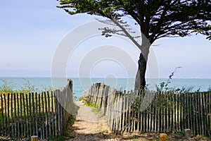 Coast wooden fence access sandy pathway to ocean beach atlantic coast at isle oleron island in France