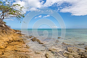 A Coastal Antiguan Landscape