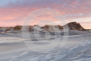 Coastal background of dunes at sunset Pea Island Outer Banks NC