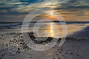 Coastal Background Sunset Mudflats Folly Beach South Carolina