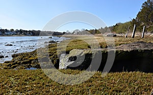 Coastal Beach With Salt Marsh and Sea Grass